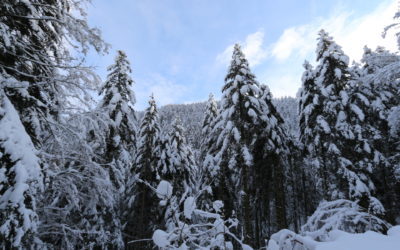 RETRAITE DE 2 JOURS « NATURE ET SOI » 2021